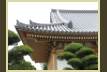 41.完成写真(隅軒先部)